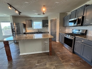 14721-Hooded Merganser, San Antonio, TX, 78253