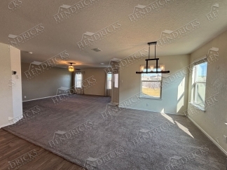 14721-Hooded Merganser, San Antonio, TX, 78253