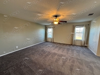 14721-Hooded Merganser, San Antonio, TX, 78253