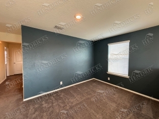 14721-Hooded Merganser, San Antonio, TX, 78253