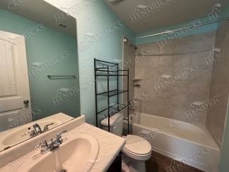 14721-Hooded Merganser, San Antonio, TX, 78253