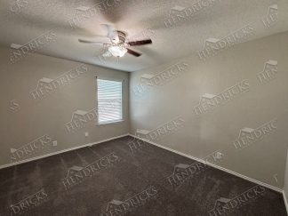 14721-Hooded Merganser, San Antonio, TX, 78253