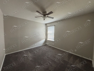 14721-Hooded Merganser, San Antonio, TX, 78253