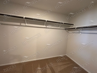 14721-Hooded Merganser, San Antonio, TX, 78253