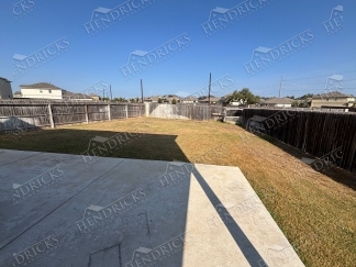 14721-Hooded Merganser, San Antonio, TX, 78253