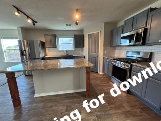 14721-Hooded Merganser, San Antonio, TX, 78253