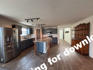 14721-Hooded Merganser, San Antonio, TX, 78253