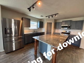 14721-Hooded Merganser, San Antonio, TX, 78253