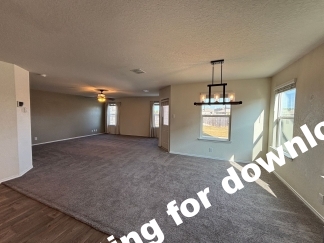 14721-Hooded Merganser, San Antonio, TX, 78253