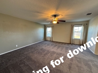 14721-Hooded Merganser, San Antonio, TX, 78253