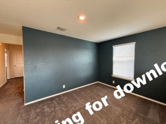 14721-Hooded Merganser, San Antonio, TX, 78253