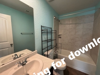 14721-Hooded Merganser, San Antonio, TX, 78253