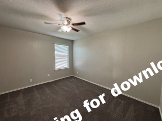 14721-Hooded Merganser, San Antonio, TX, 78253