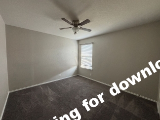 14721-Hooded Merganser, San Antonio, TX, 78253