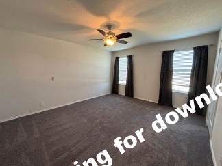 14721-Hooded Merganser, San Antonio, TX, 78253