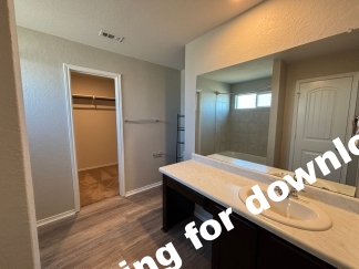 14721-Hooded Merganser, San Antonio, TX, 78253