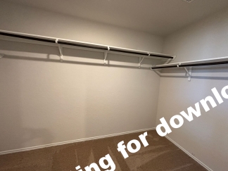 14721-Hooded Merganser, San Antonio, TX, 78253