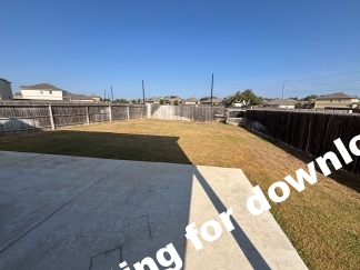 14721-Hooded Merganser, San Antonio, TX, 78253