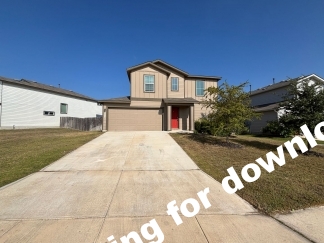 14721-Hooded Merganser, San Antonio, TX, 78253