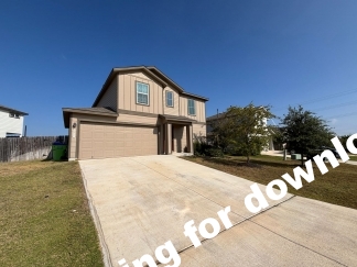 14721-Hooded Merganser, San Antonio, TX, 78253