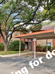 Move-In Special.  ½ off the first full month's rent with a 12 month lease