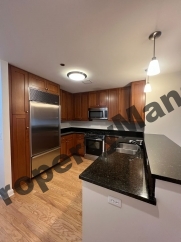 60 E Monroe St Unit 2604 Chicago, IL 60603-2768