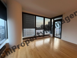 60 E Monroe St Unit 2604 Chicago, IL 60603-2768