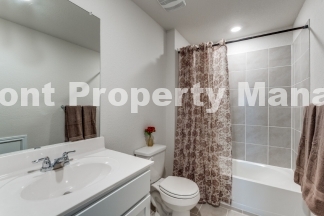 4-Bed Sanctuary with 2.5 Baths in San Antonio – Your Dream Home Awaits!