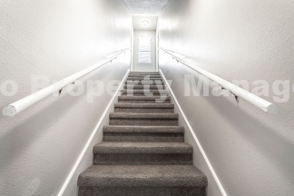 Newly Renovated Duplex! Rare!