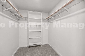 Newly remodeled 3-bedroom, 2-bath home
