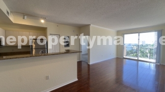 2-Bedroom Penthouse in the Heart of West Palm Beach